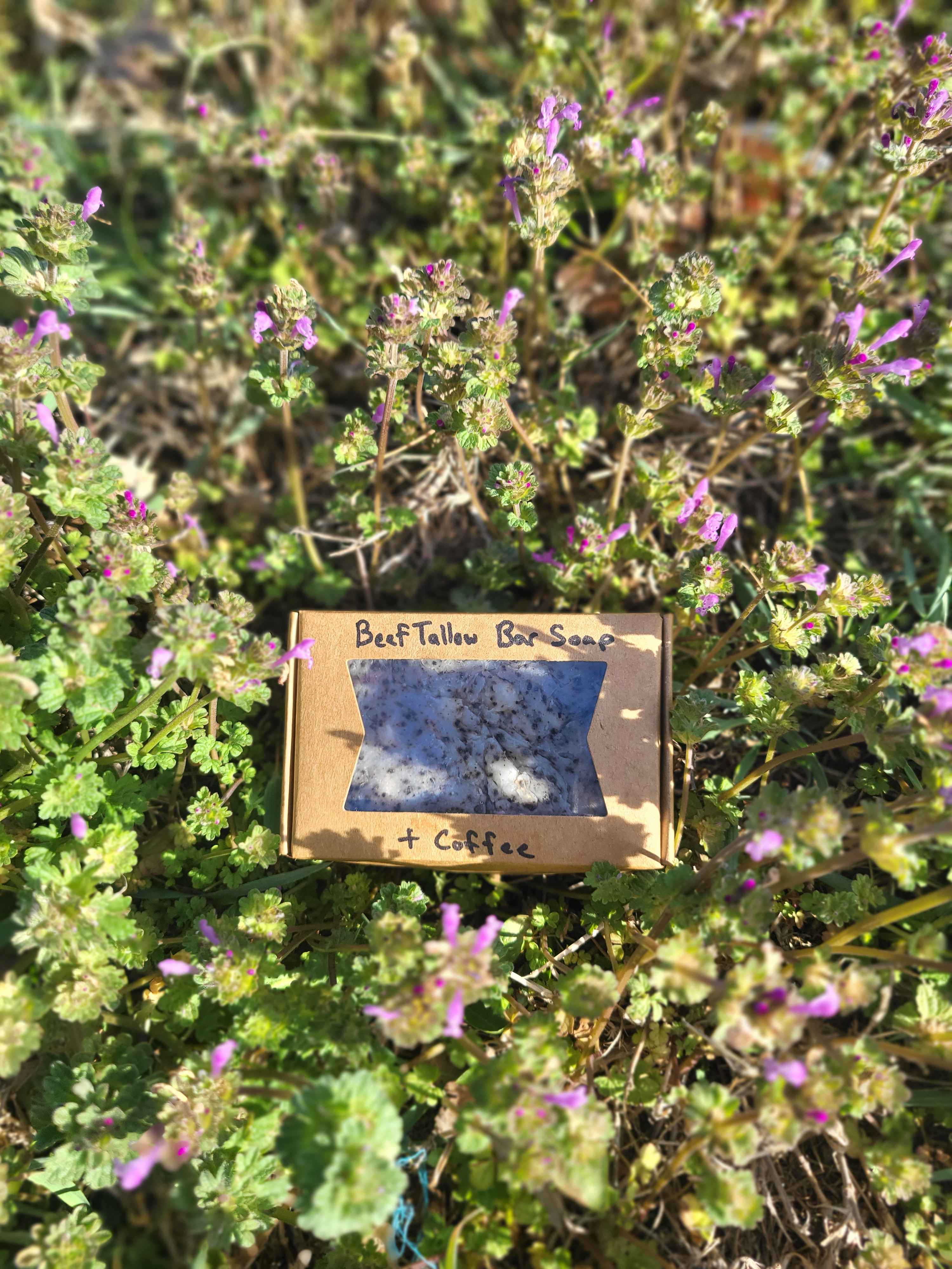 Beef Tallow Bar Soap With Coffee